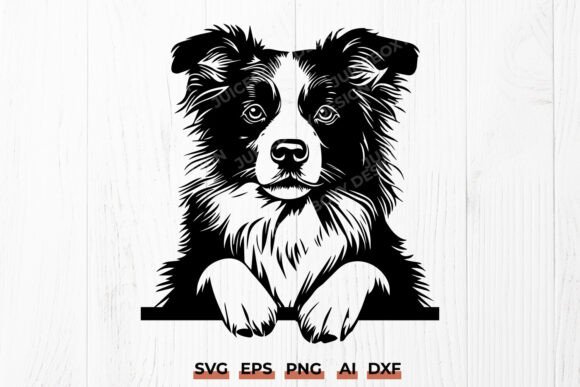 Border Collie SVG Herding Dog Clipart