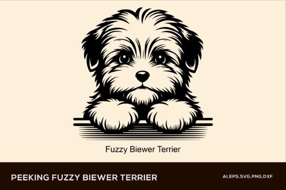 Fuzzy Biewer Terrier – Peeking Dog Review