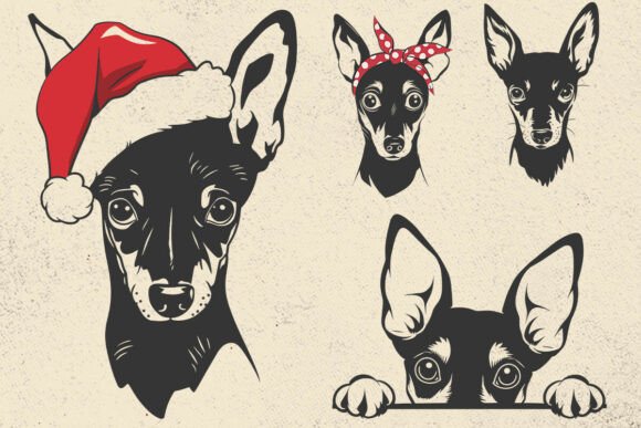 Miniature Pinscher Svg Png - Dog Vector