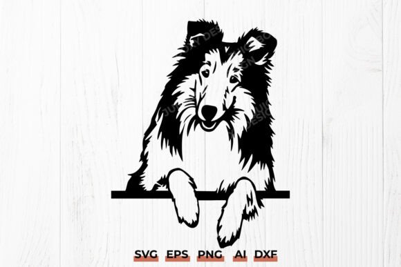 Peeking Rough Collie SVG Sheltie Dog